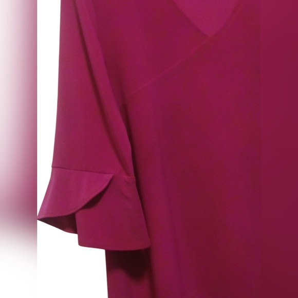 Clara Sun-Woo - NWT, XS Raspberry Colored Blouse W/ 3/4 Flutter Sleeves, V-Neck - Picture 6 of 11